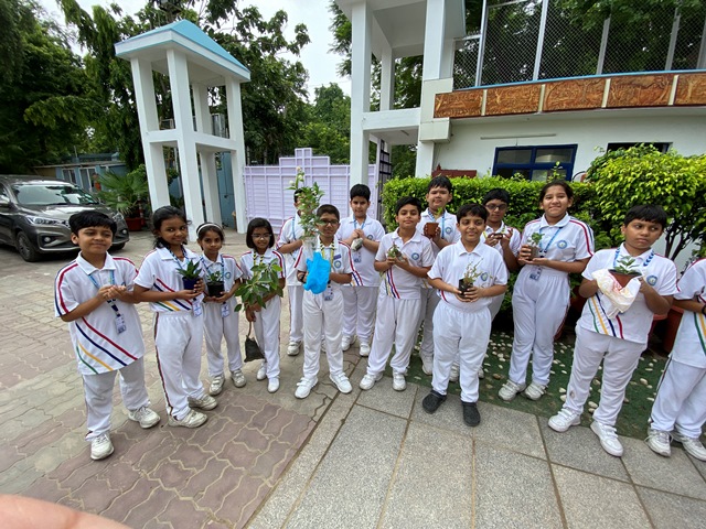 Tree Plantation Drive_Primary Wing